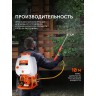 Опрыскиватель ранцевый бензиновый PATRIOT PT 800